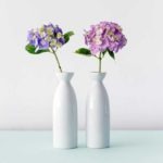 deux vases avec fleurs