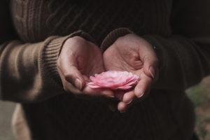 mains qui tiennent pétales de fleur