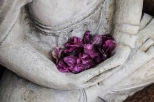 gros plan mains de bouddha pétales fleurs