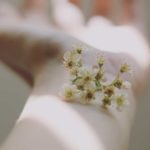 fleur sur un poignet